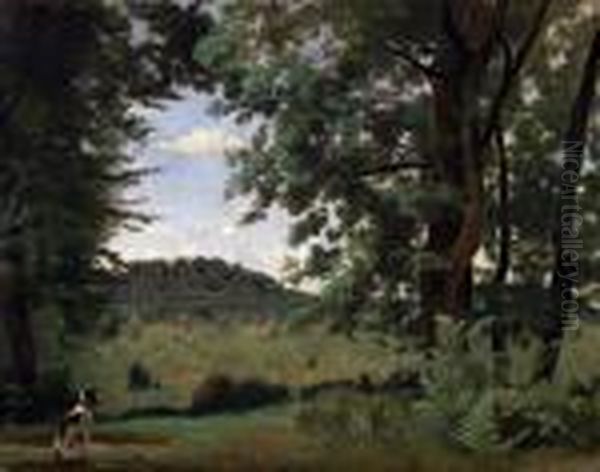Fontainebleau, Chien En Clairiere De Foret - view 1