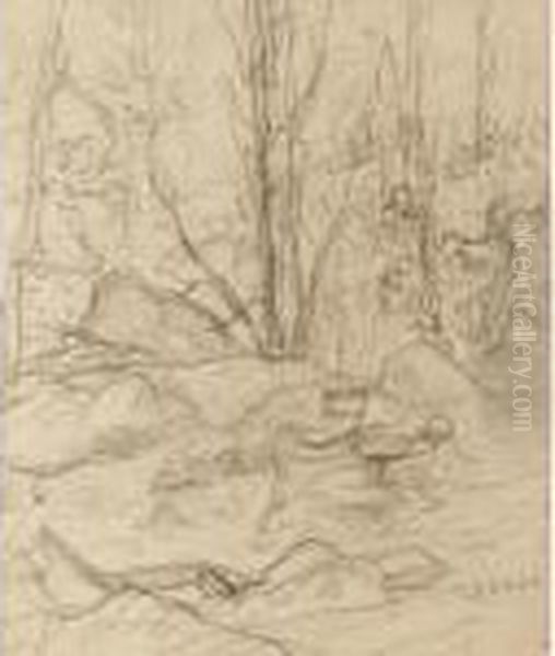 Study Of A Tree - view 1