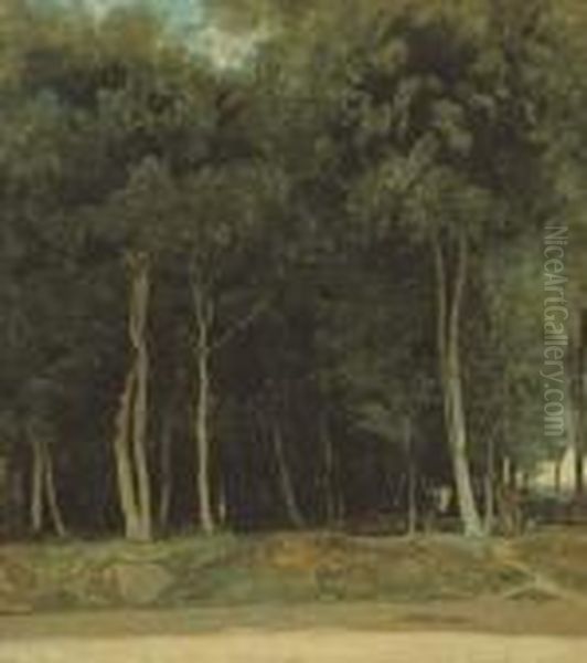 Fontainebleau - Route Du Bras Breau - view 1