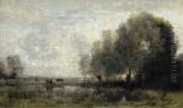 Vaches Au Paturage Aupres D'une Saulaie - view 1