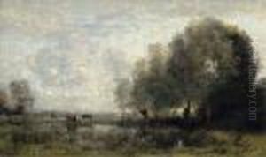Vaches Au Paturage Aupres D'une Saulaie
