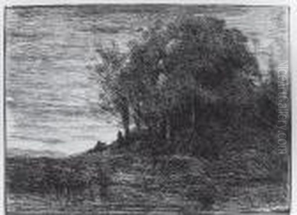 Le Bois De L'ermite (au Bords Du Lac Trasimene) - view 1