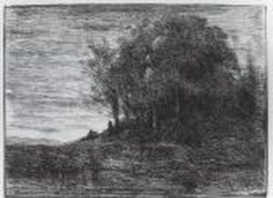 Le Bois De L'ermite (au Bords Du Lac Trasimene)