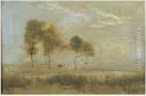 Marais Aux Quatre Arbres