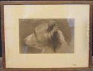 Head Of A Dog by Jean-Baptiste-Camille Corot