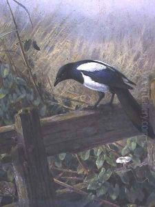 The Magpie by Johan Gerard Keulemans