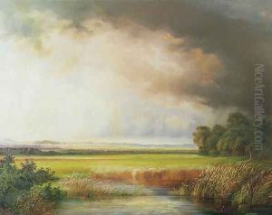 Reed beds with extensive landscape