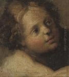 Head Of A Putto