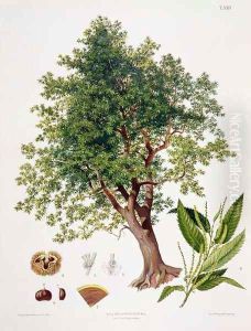 Sweet Chestnut by Johann Kautsky
