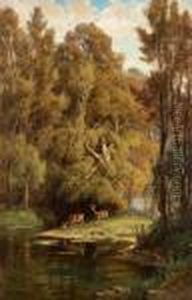Scenein The Forest With Deers