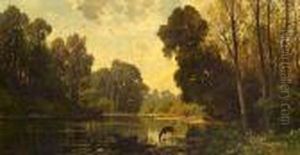 A Tranquil Wooded Scene With Deer Drinking From A Pond