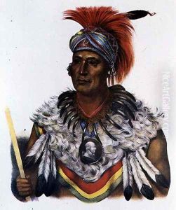 Wapella or the Prince Chief of the Foxes