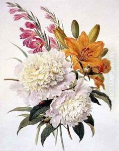 Sprays of Gladioli Peonies and Lilium Bulbiferum by Henriette Gertruide Knip