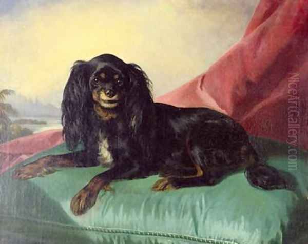 A King Charles Spaniel on a Green Cushion - view 1