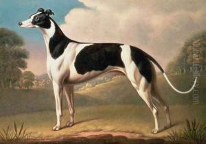 Greyhound 2