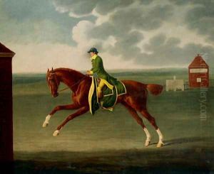 A Chestnut Racehorse with Jockey Up on Newmarket Heath by Benjamin Killingbeck