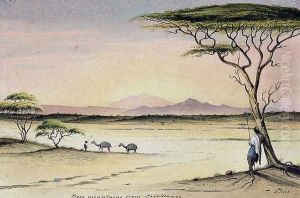 The Pfeeo Mountains from Nagakoomee by Rupert Kirk