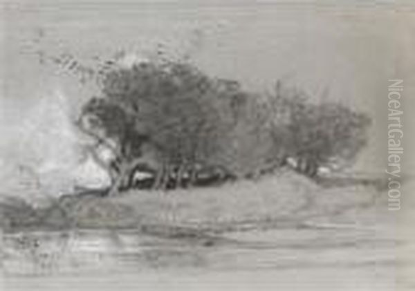 Postwick Grove, Norwich - view 1