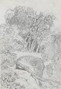 Parson's Bridge, Cardiganshire