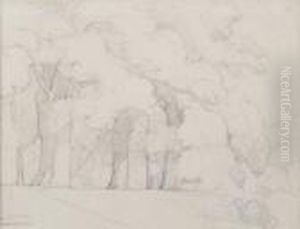 Paysage Aux Grands Arbres Paysage Aux Grands Arbres