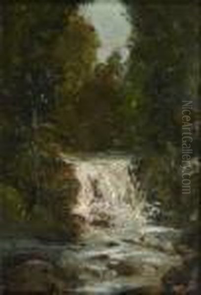 Cascade Dans Un Sous-bois - view 1