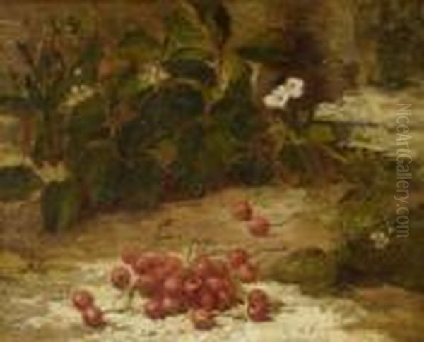 Still Life - view 1