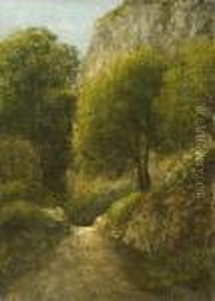 Forest Landscape - view 1