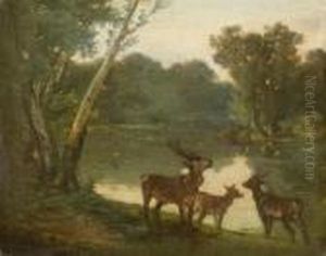 River Landscape With Roe Deer by Gustave Courbet