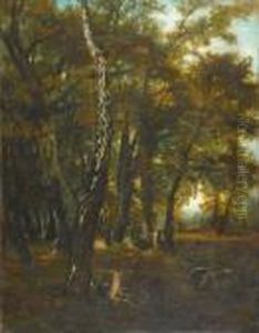 Sous Bois Avec Cerfs Et Biches. by Gustave Courbet