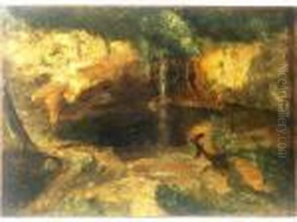 Grotte Dans La Falaise Saintongeaise - view 1
