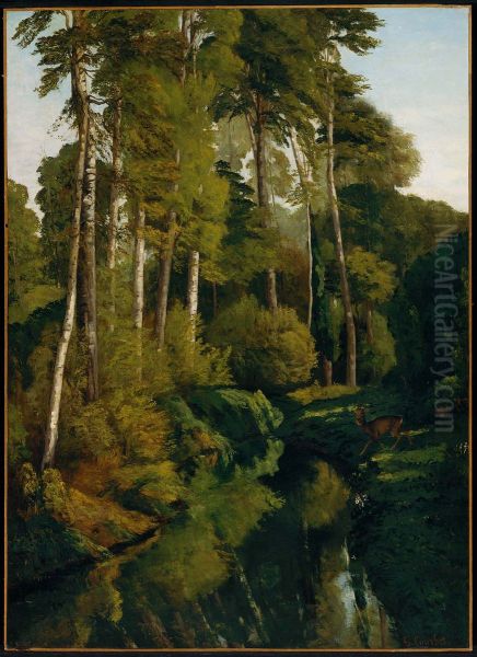 Stream In The Forest - view 1