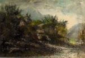 Abendliche Landschaft Mit Buschen.