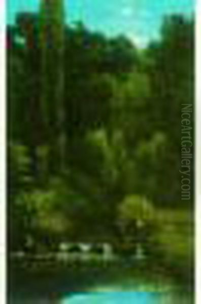 Ruisseau Dans La Foret - view 1