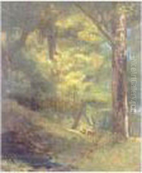 Deux Chevreuils Dans La Foret - view 1