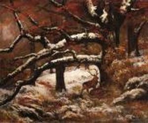 Cerfs Dans La Foret by Gustave Courbet