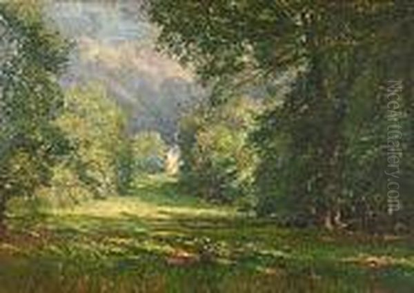 De Regenboog - view 1