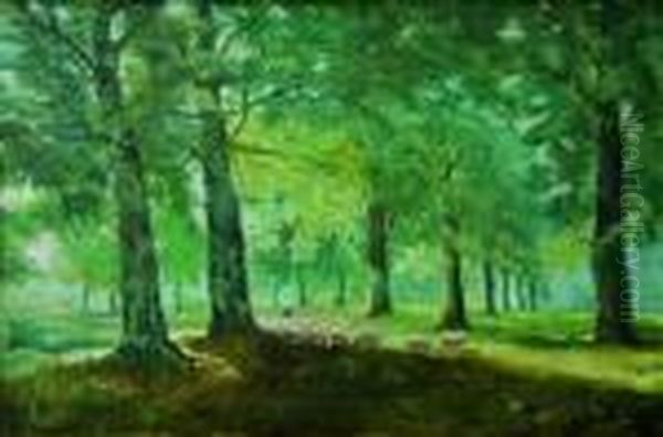 Moutons Dans Les Sous-bois - view 1
