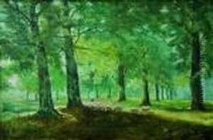 Moutons Dans Les Sous-bois