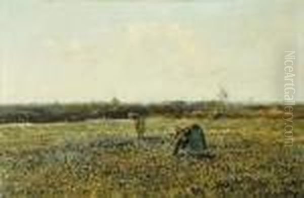 Champs De Fleurs - Matin - view 1