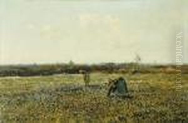 Champs De Fleurs -matin - view 1