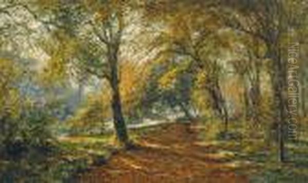View Of A Park Withwoman Gathering Dead Wood - view 1