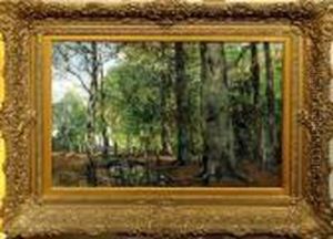 [bosweg] by Frans Courtens