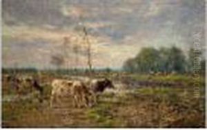 Cows In A Meadow Cows In A Meadow