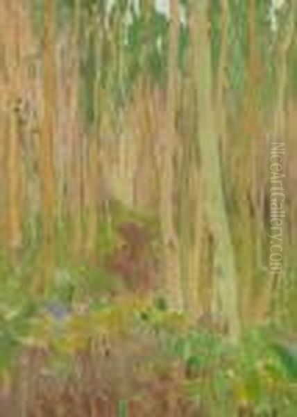 Aspen Symphony - view 1
