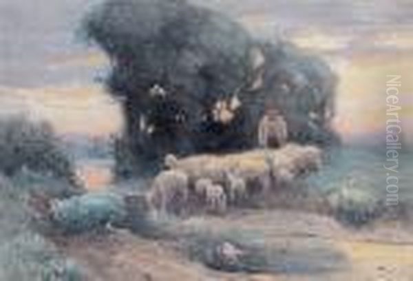 Sheepherder - view 1