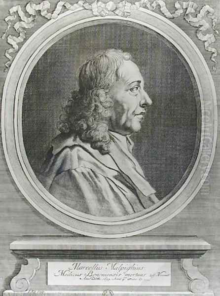 Marcello Malpighi 1628-94 - view 1