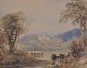 Cattle Watering In A Tree Lined River Cattle Watering In A Tree Lined River