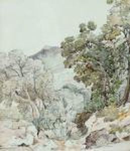 Travellers On A Rocky Road by David I Cox