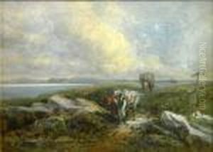 Great Ormes Head - Llandudno Great Ormes Head - Llandudno