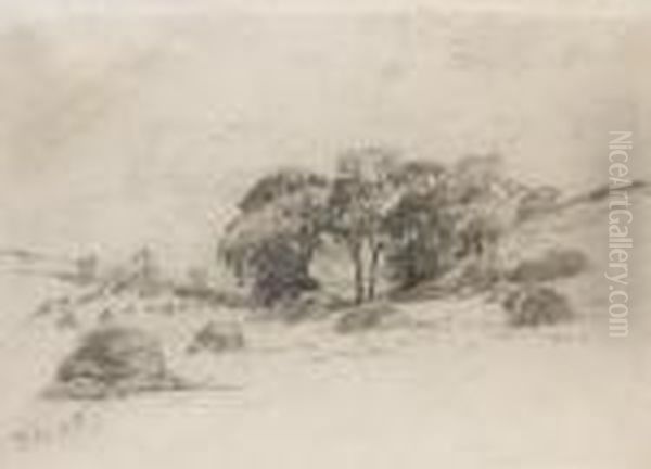 A Hayfield - view 1